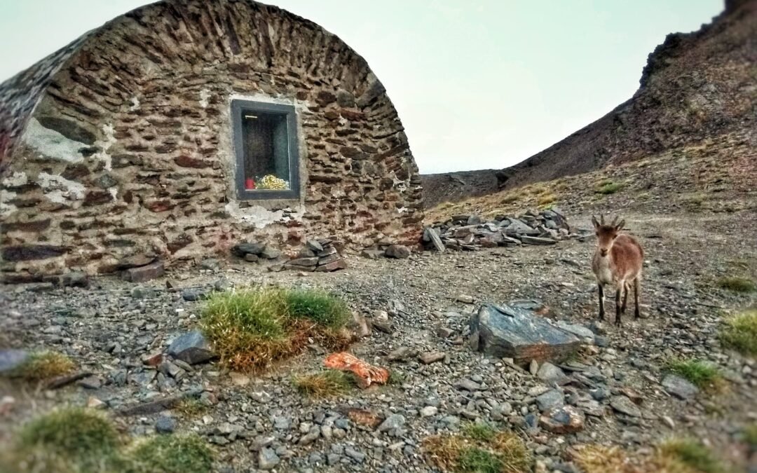 Ficha de Seguridad: Recomendaciones para Disfrutar Sierra Nevada en los Próximos Días Festivos