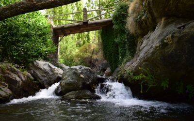 El Puente Chiscal | Capileira