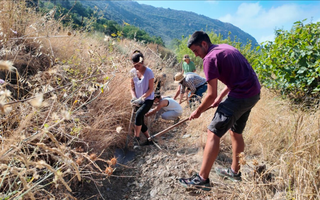 LIMPIEZA DE LA ACEQUIA NUEVA DEL POQUEIRA