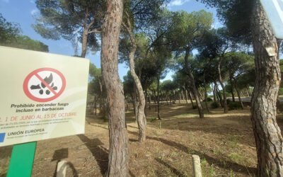 Bando Municipal: Prohibición de Barbacoas y Quemas en Espacios Forestales de Capileira (Hasta el 15 de Octubre)