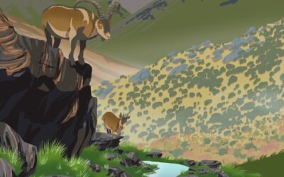 🌿⚠️ Seguridad en Sierra Nevada