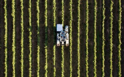 🏛️ Ayuda al sector agrario: Cómo comunicar daños por adversidades meteorológicas en Capileira