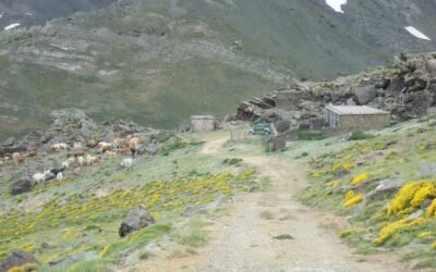 Capileira impulsa nuevas actuaciones para cuidar su entorno natural y mejorar sus espacios públicos